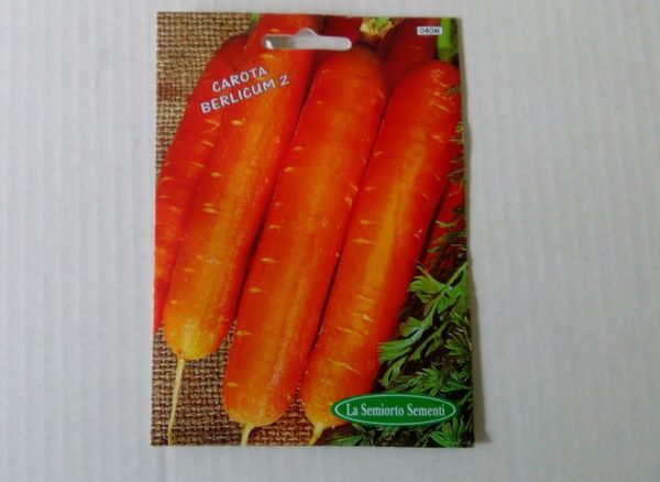 CAROTA BELICUM