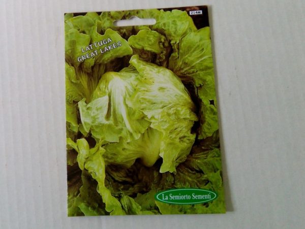 LATTUGA GREAT LAKERS
