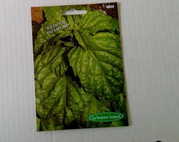 basilico