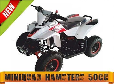 hamster50cc