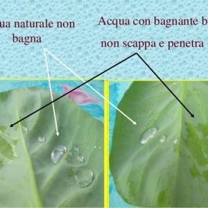 reas-2014-ritardanti-e-bagnanti-19-638