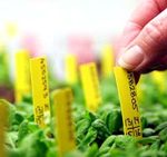 Agrofarmaci