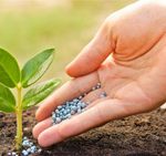 Agricoltura e Giardinaggio